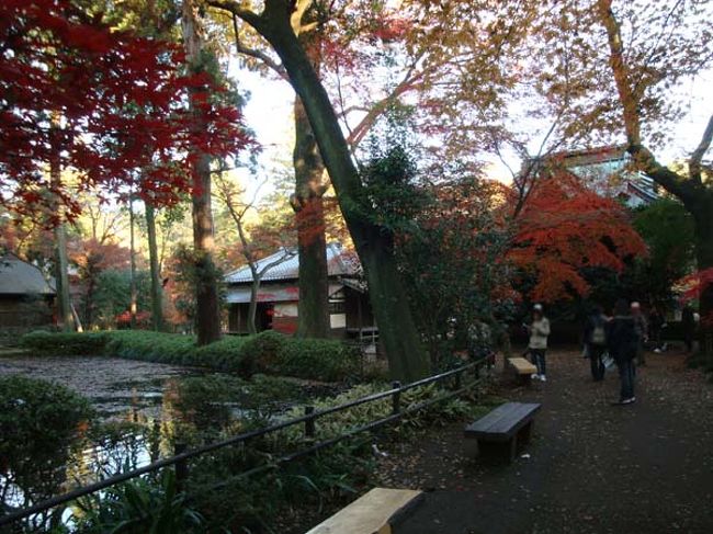 野火止用水に繋がっている「放生池」