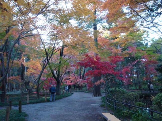 散策路もそろそろ終わりに近づいています。