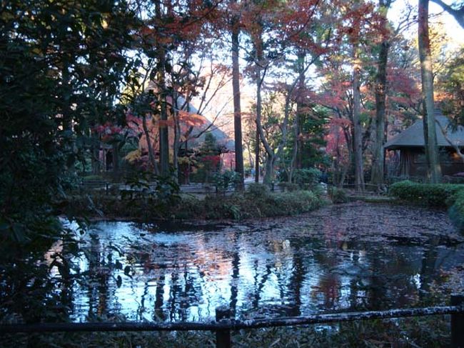 「放生池」の水面をみていると旅をしている気分になります。