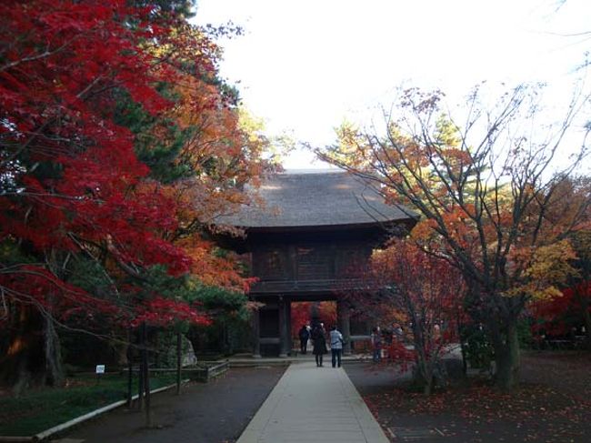 出発点の山門に戻ってきました。<br /><br />写真撮影しながらゆっくり紅葉を鑑賞した約2時間の散策でした。