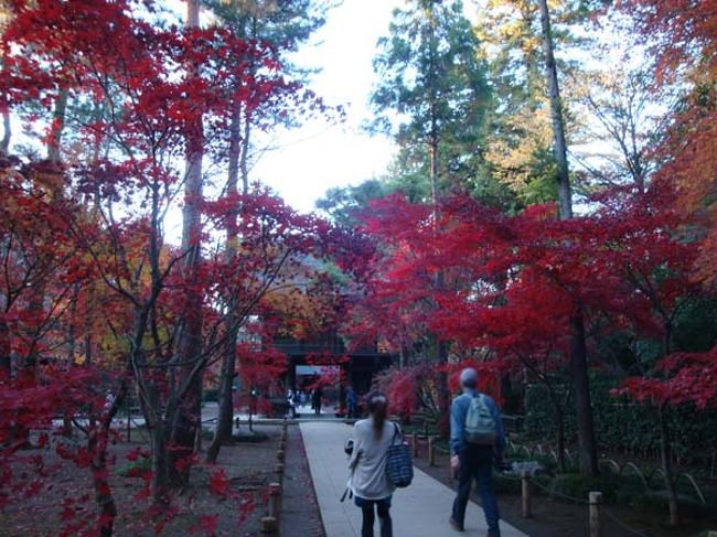 素晴らしい紅葉を拝見させて頂いたことに感謝して山門を後にします。