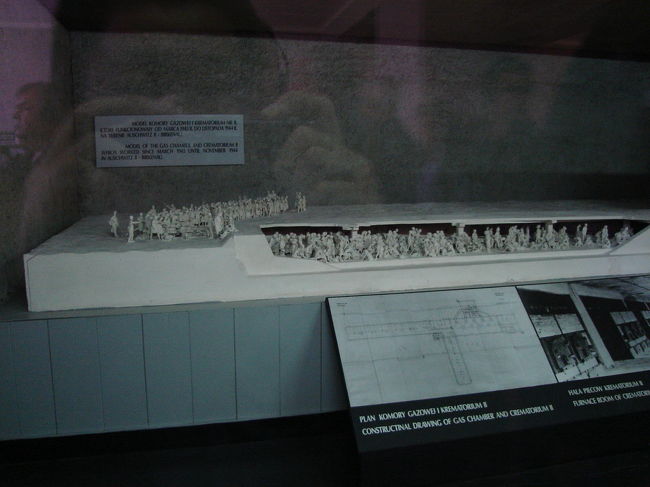 第4ブロック内<br /><br />アウシュビッツ収容所へ殺害されるために送られてきた人の殆どは、東ヨーロッパに移住されるだけと信じていた。特にギリシアとハンガリーのユダヤ人たちは騙され、ナチスから存在しない農場、土地、商店などを購入した。また、収容所についた人たちは自分の財産の最も価値のあるものを持参していた。