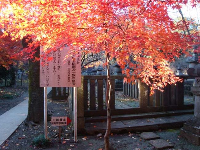 「松平信綱墓」の案内板。<br /><br />松平伊豆守信綱をはじめとする大河内松平家歴代の廟所は約3千坪。<br />左右に杉木立のある正式な参道は立入禁止です。<br />