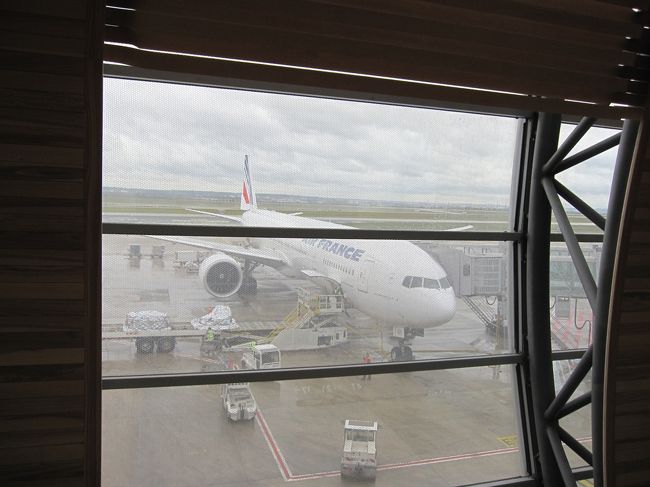 乗った飛行機。<br />行きの飛行機は搭乗口の関係で撮れなかったので、うれしい。<br /><br />空港ではとにかく待ちました・・・。<br />ガイドブックに早めに行ったほうが良いとあったので3時間前くらいに空港に到着。<br />エールフランスは完全に機会でのチェックイン。<br />荷物を預けるためにカウンターへ。<br />まず、だってカウンター２つしか開けてないんだもん。<br />ここで大行列。荷物預けるためだけに30分以上待ちました。<br />どんなに人が並んでいようと平気で休憩行っちゃうもんね・・・。<br />次に免税手続きのために行列。本当は先に荷物預けた方が良いみたいだけど・・・。ここでも30分近く待ち。<br />さらに出国審査で待ち、荷物のセキュリティーチェックで待ち。<br /><br />すべてのゲートを抜けて免税店などを見れたのは1時間もなかった・・・。<br />
