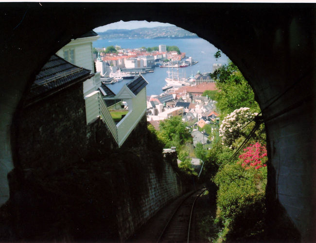 ケーブルの途中