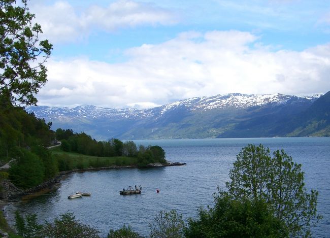 　午後からは、昨日キャンセルになったバタンゲルフィヨルドの観光です。<br />このフィヨルドは、全長１７０KMでノルウェーで２番目に長いフィヨルドです。<br />しかし昨日見た二つのフィヨルドと違い、なだらかな山々の間に伸びたフィヨルドで、岸辺のなだらかな丘陵地帯には、リンゴやブドウの果樹が植えられ、牧歌的な風景です。