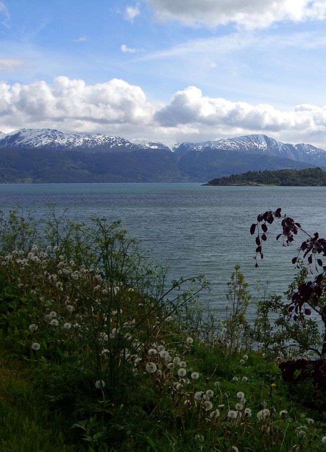 開けた明るいフィヨルド、暗くて厳しいフィヨルド２つ見た事になります。