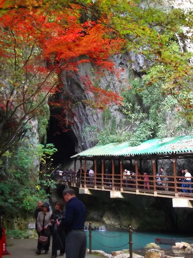 自然の驚異 秋芳洞で秋を満喫 秋吉台 山口県 の旅行記 ブログ By 風遊さん フォートラベル 自然の驚異 秋芳洞で秋を満喫 秋吉台 山口県 の旅行記 ブログ By 風遊さん フォートラベル