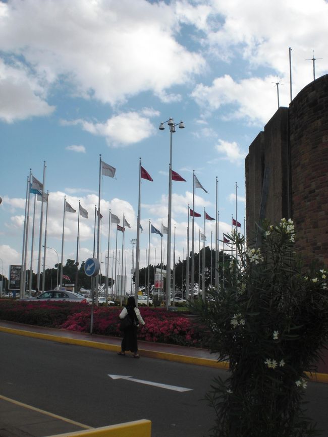 暑いがむっとするほどではない