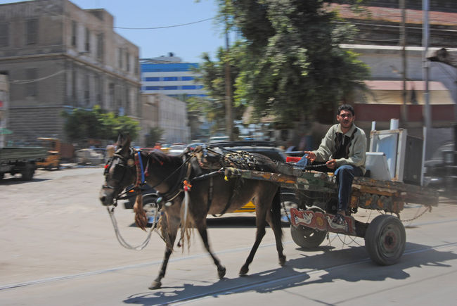 馬車。<br />ちょっと乗ってみたい気もするけどね〜。