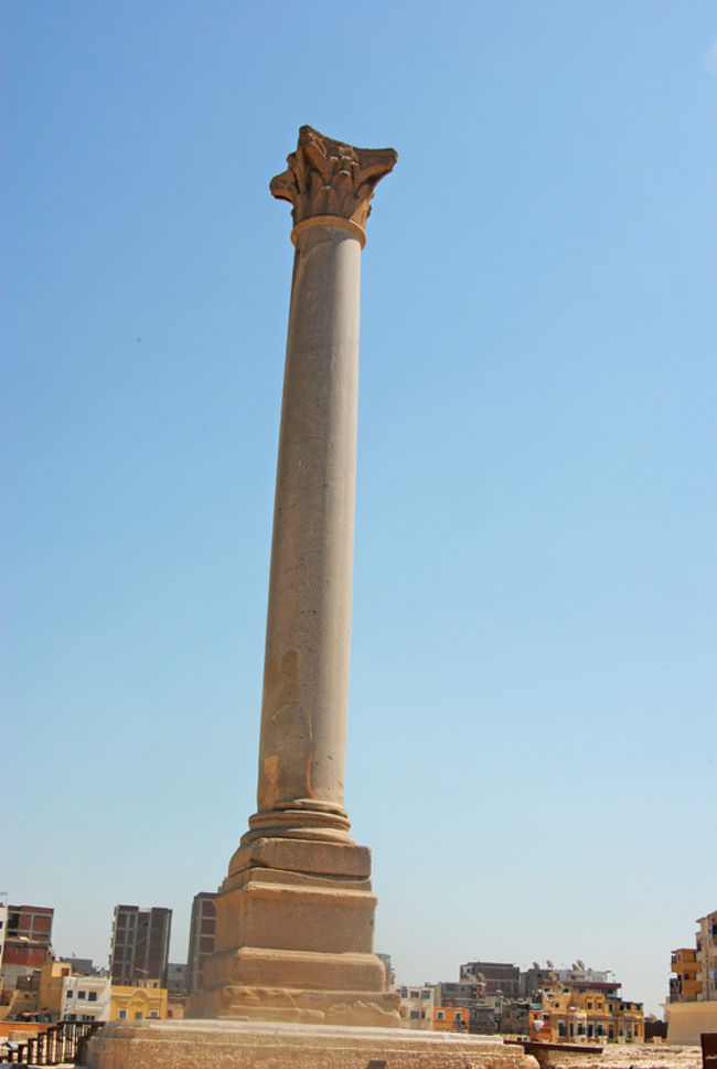 なんで一本だけなんだろう・・・・