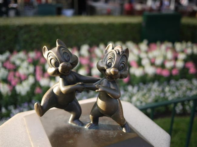 今回の旅行に際し、カメラ（Lumix GF-1）を新調したこともあり一眼特有のボケを意識した写真に挑戦です。<br />まずは、チップとデール。