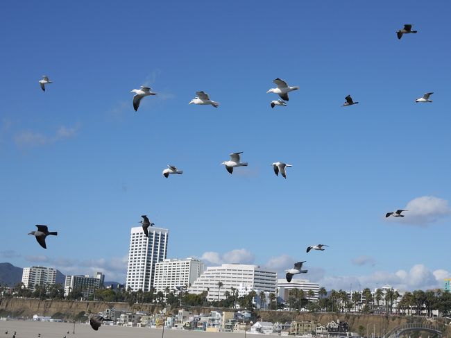 サンタモニカの「かもめ」