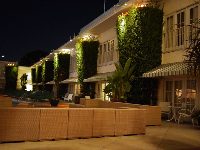 サンタモニカを出発し、いよいよビバリーヒルズです。<br />六本木ヒルズも一度しか訪問したことがないですが。。。<br />今夜は、グラミー賞の授賞式で使われいる「The Beverly HILTON」に宿泊です。<br />ここはプリティ・ウーマンでも有名となった。ロデオ・ドライブまで徒歩券にあり、今回宿泊することにしました。<br />夕食はロデオ・ドライブのCafe ROMAですましましたが、日曜日だったこともあり、各ブテッィは既に閉店しており、ホテルのプールサイドのバーで一休み<br />右手が今回宿泊したのプールサイドの部屋です。<br />奥の２Ｆが宿泊した部屋でした。