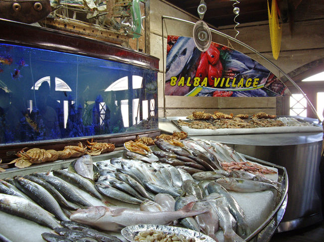 ここでお魚を選びます。