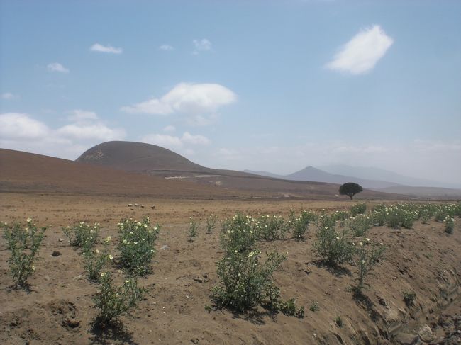 まだキリマンジャロはみえない