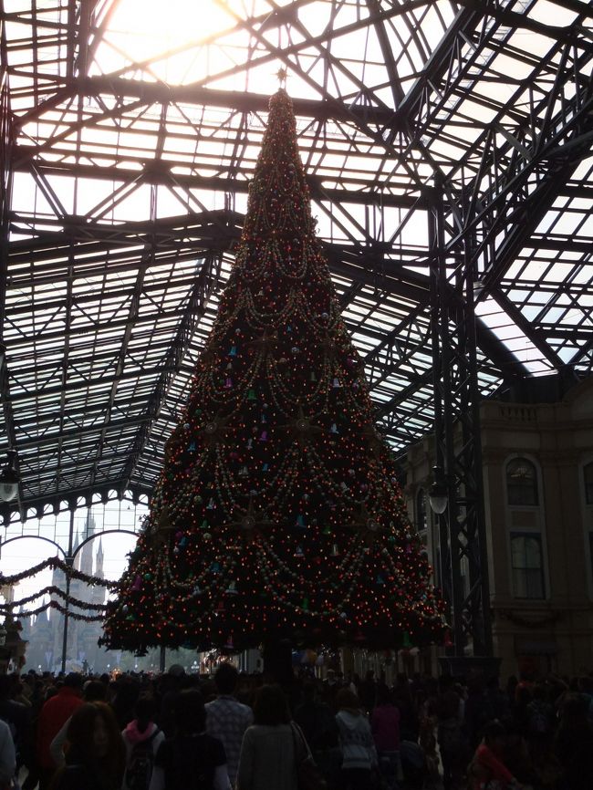 毎年、毎年ツリーを撮影。<br /><br />そして、逆光