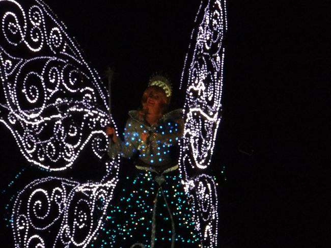 そして、またもーダーリンダウン。<br /><br />またかよ。<br /><br />エレクトリカルパレードはみいが撮影。