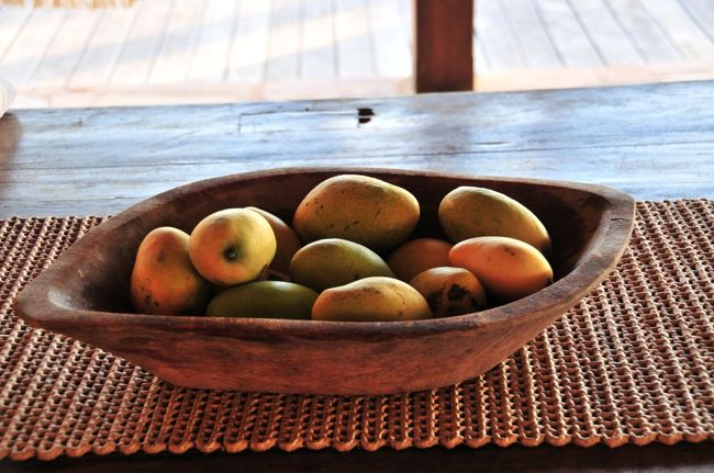 近くのマンゴーの木で収穫されたマンゴー