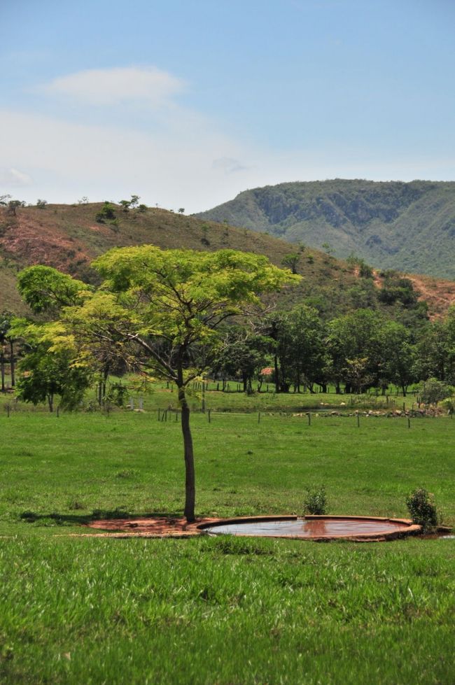 近くの山から水路を引き馬の水飲み場にしている