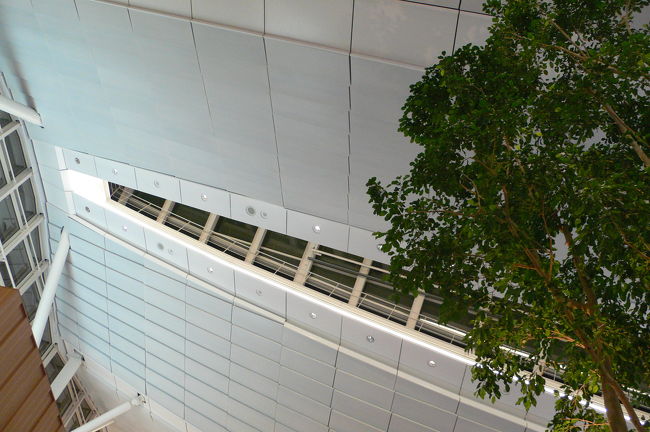 羽田空港で仮眠なんてなかなかできないので、寝転がって天井をぱちり。