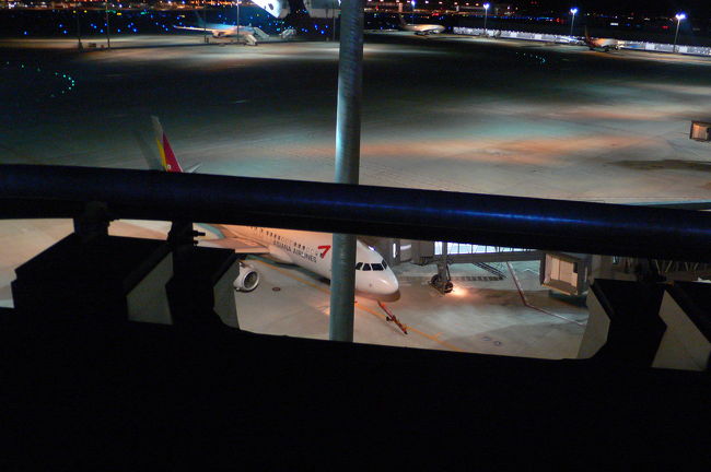 これから乗る飛行機。