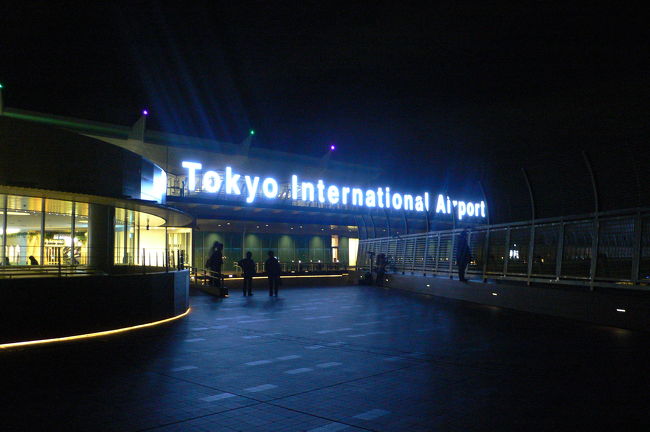 他にもちらほら散歩中の人が。