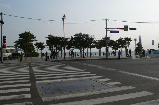 海が見えてきた!!