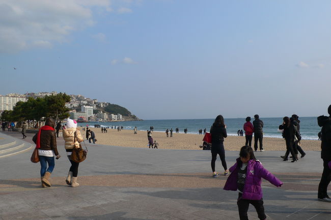 みんなのんびり散策中。