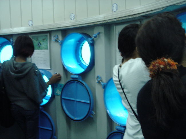 螺旋階段で水深4mまで降りていきます<br /><br />展望塔内は360度窓になっていました