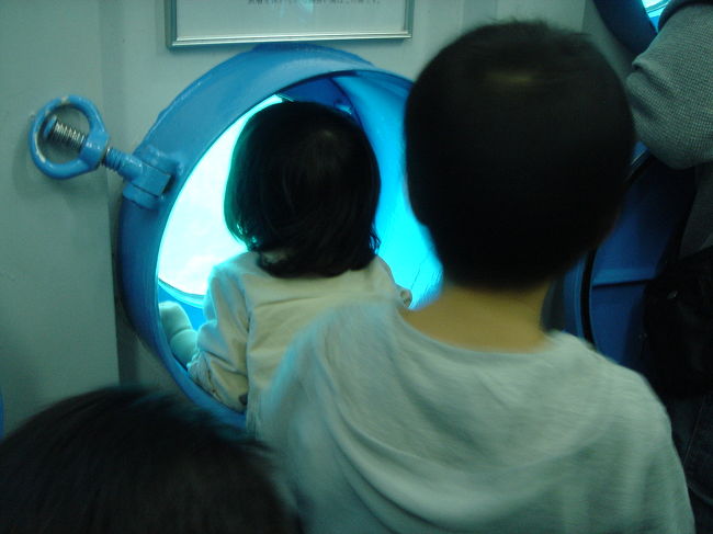 想像以上にお魚がいっぱいいて<br />子供は窓に釘付け！<br /><br />ハリセンボンに大喜び☆