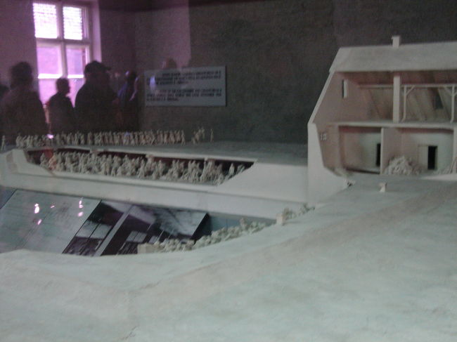 第4ブロック内<br /><br />列車はオシフェンチムの貨車駅、そして1944年からは、ブジェジンカに特別に設けられた鉄道引込線（積み下ろし場）に着いた。ここでSS将校とSS医師が選別を行った。労働できそうな人たちは収容所に入れられ、仕事ができないと判断された人たちはガス室へ行かされた。ルドルフ・ヘス所長の証言によると、運ばれてきた人間の70〜80%がガス室へ送られた。