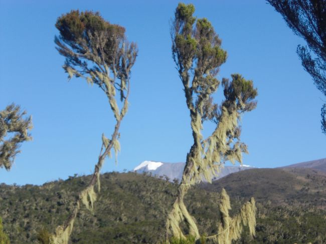 はるかかなたにアフリカの雪が