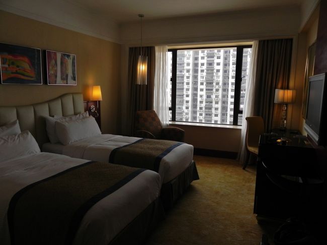 なかなかしっとりした部屋だ<br /><br />デラックス朝食付きで２泊　１８５，２４Ｓｇｄ　Ａｇｏｄａで予約した<br /><br />５☆にしては格安だと思う