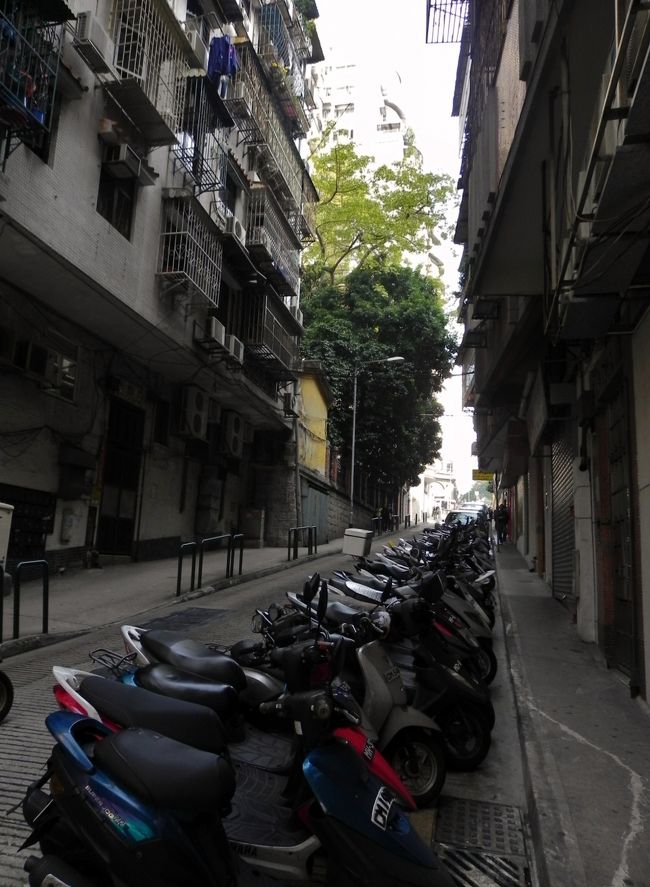 マカオ観光局のサイトを見てみるとよさそうな路地がいっぱいで２泊ではどうも無理のように思えた。メールで問い合わせてみたらＨａｎａｒｉさんという方が親切に応答してくださり大体の目安がついた。おおきにＨａｎａｒｉさん♪おかげさまでおすすめくださったとおりではないですが何とかあちこち歩く事ができました。<br /><br />「以下のお問い合わせをいただきました件です。<br /><br />天候など当日の状況やご覧になりたいものなどにもよるかと思いますが、<br />7日はホテルへチェックイン後、ギアの丘へ行き、マカオを俯瞰。<br />その後聖ポール天主堂跡〜セナド広場周辺を散策。<br />8日は弊局ウォーキングマップで案内している2のコース、セナド広場〜マコウミュウ、マカオタワーへのコースがいいかと思います。」<br />このあとに他のおすすめコースもいくつか書いてくださり親切丁寧な応対振りに感謝です♪<br /><br /><br />っということで今日はもう遅くなったのではやいとこホテルからすぐあがったところにあるだろうギア灯台（松山燈塔）へ<br /><br />