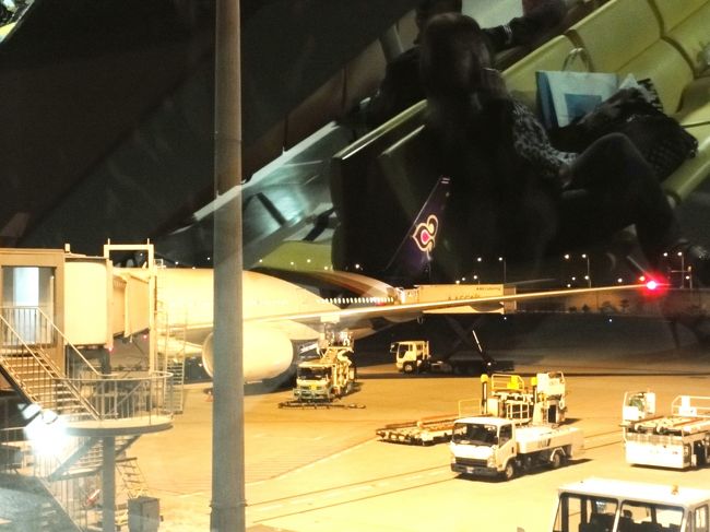 深夜の関西空港を出発。タイ国際航空でバンコクへ。