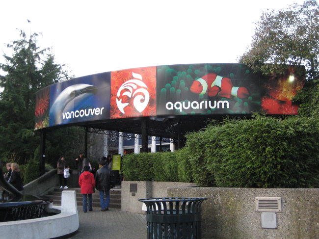 次はバンクーバー水族館。<br /><br />カナダ最大級の水族館で、<br />ブリティッシュ・コロンビア州沿岸などから<br />約８０００種もの海洋生物が集められているとか。<br /><br />入場料は大人１人＄２３．５２でした。