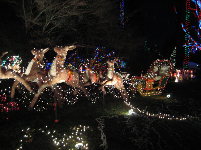 手作り感のある、素朴な装飾。<br />あたたかみを感じます。