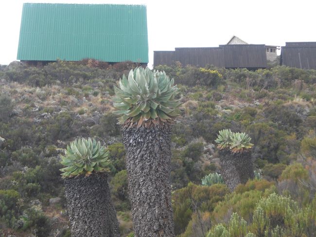 ホロンボハット。ポーターはテント