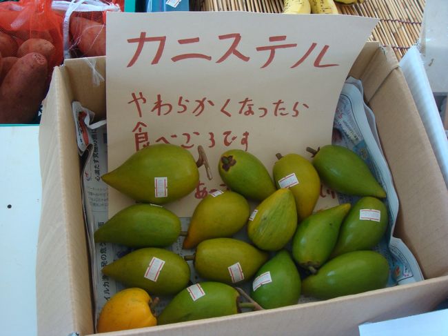 橋を渡ってすぐ左側、物産市で売ってた。<br />カニステル、卵の黄身を甘くしたような<br />味がするんだとか。<br />買えば良かった。