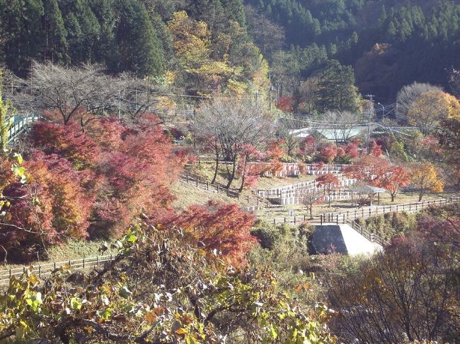 沢入駅(わたらせ渓谷鉄道)周辺の紅葉を散策する_③沢入駅から旧・沢入小学校へ(群馬県みどり市)