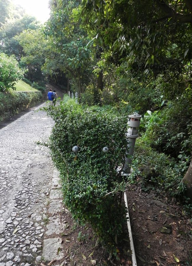 庭師の人、けっこういちびりみたいやな