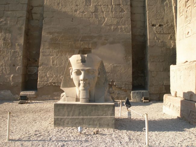 首の部分はどうしても弱く壊れやすい。