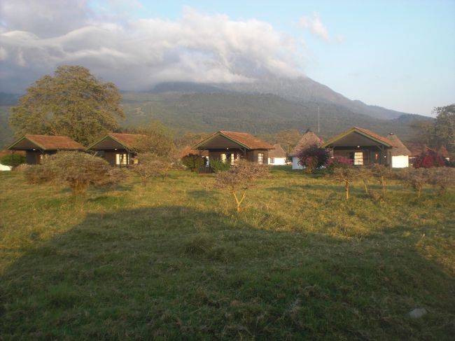 アリュウシャ国立公園のコテージ