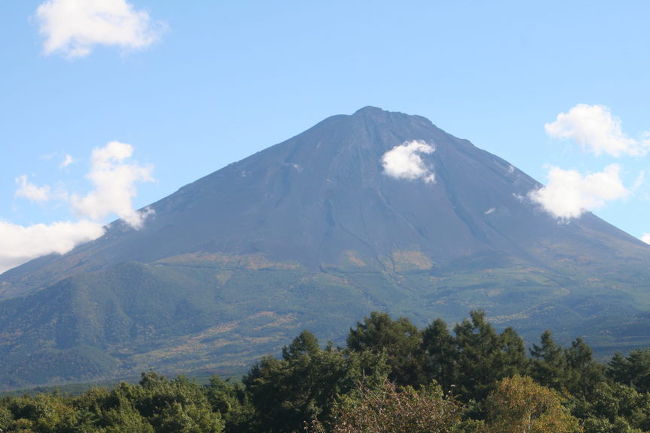 鳴沢からの富士山