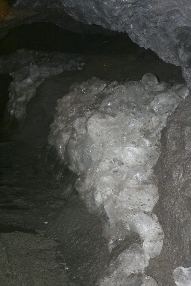 雪のような・・・