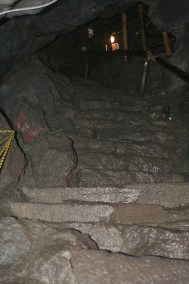 背の低い穴に入っていきます。