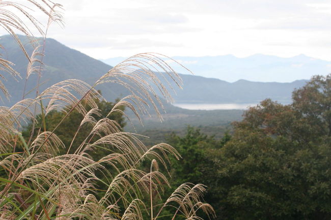上九一色村からの本栖湖