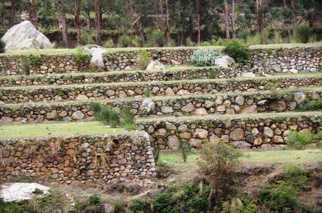 このような段々畑までがあります。これから見に行くマチュピチュのようですね。<br />