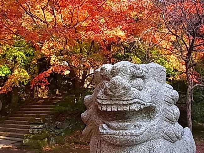 神社仏閣は気を抜くと山登りがあるから困る……<br /><br />写ってるのは狛犬であって私ではない。